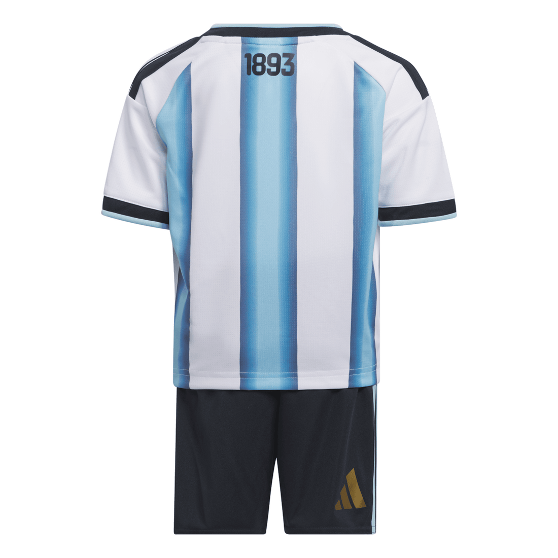 Argentina 2026 Home Mini Kit